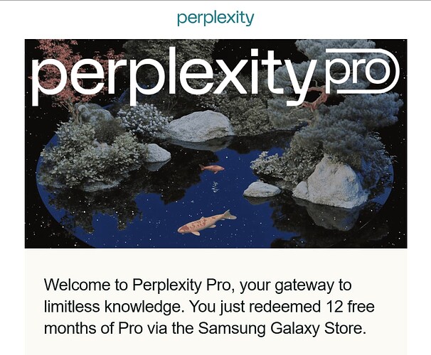 白嫖 perplexity pro 1年-小新分享